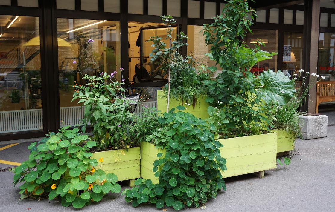Urban Gardening – Urban Gardening