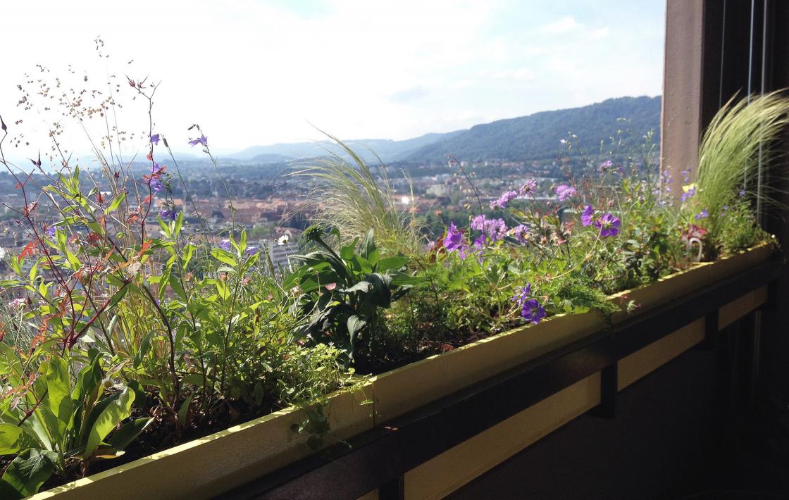 Paradies 28 – Ein Hochhausbalkon
