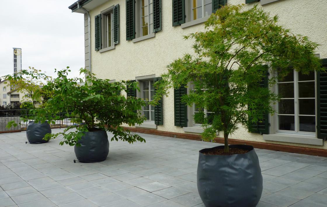 Schulpflege Altstetten – Bepflanzung einer Terrasse