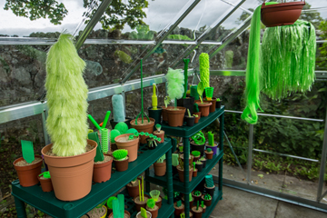 Greenhouse phantasy